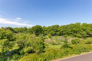 Photo 19- click for photo gallery